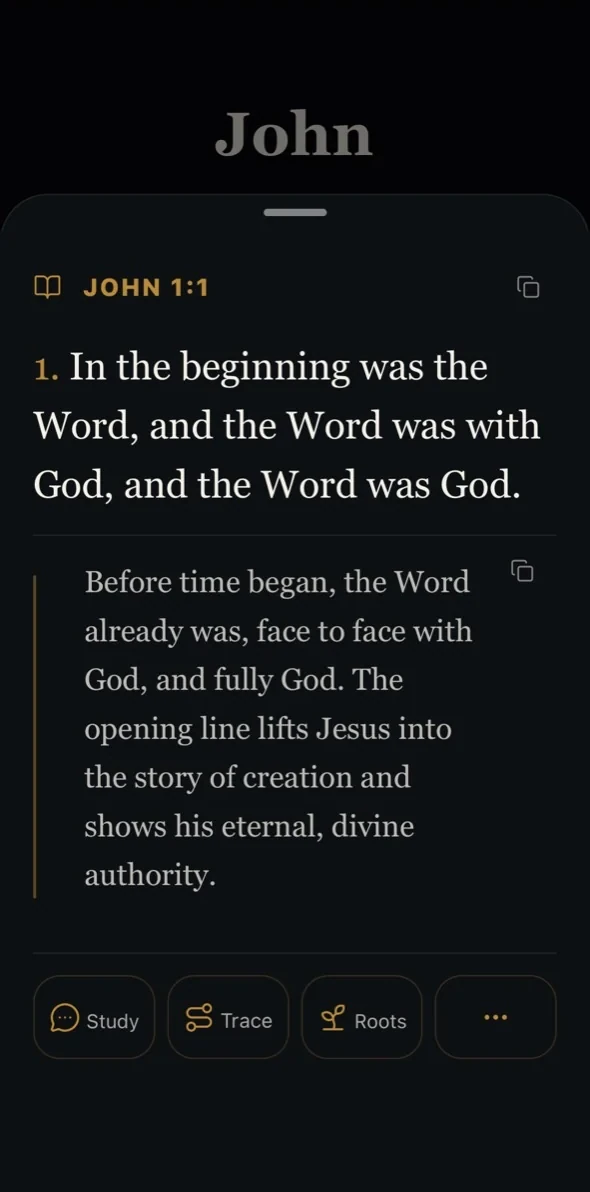 Traverse selected-passage detail explaining John 1